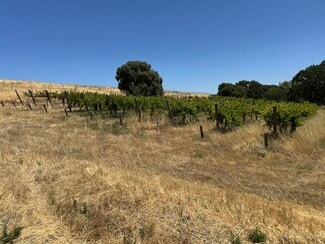 Plus de détails pour 342 Kalthoff Common, Livermore, CA - Terrain à vendre