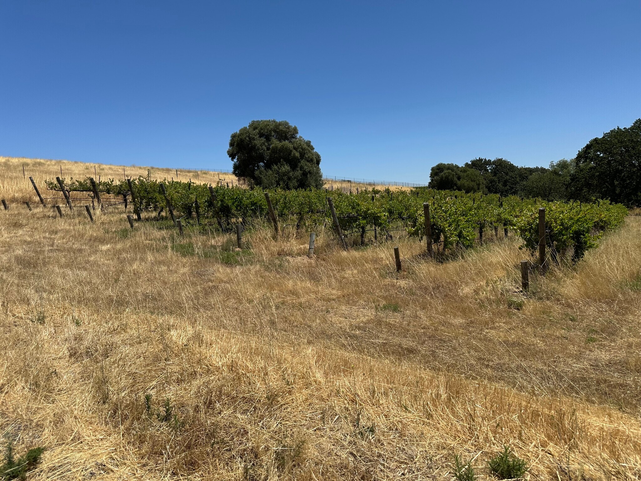 342 Kalthoff Common, Livermore, CA for sale Primary Photo- Image 1 of 3