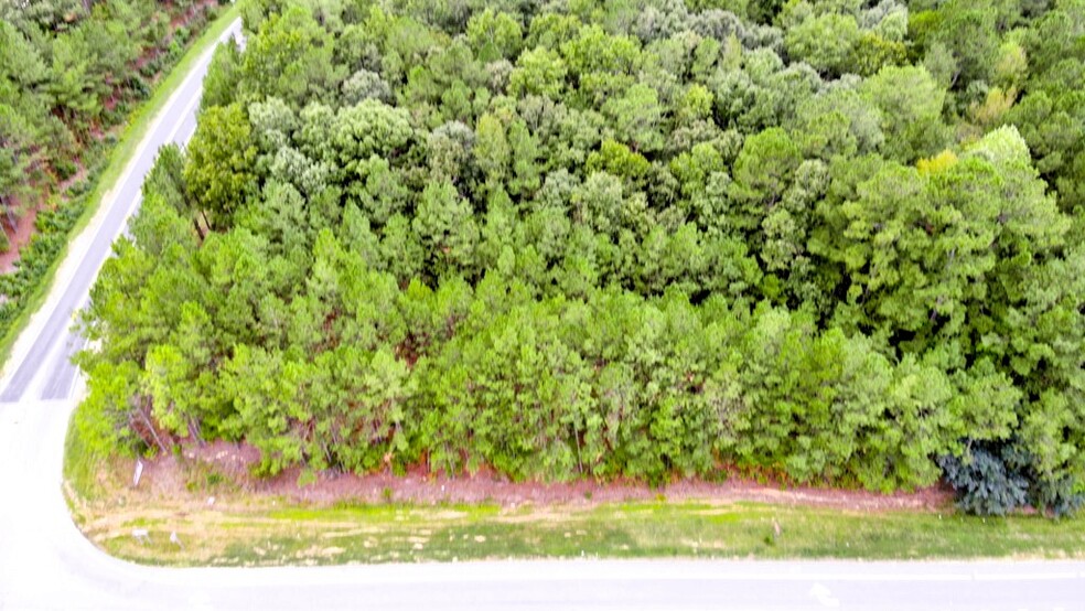 300 Milton Welch (47+ acres - address # est) Rd, Sanford, NC à vendre - Photo du bâtiment - Image 3 de 13