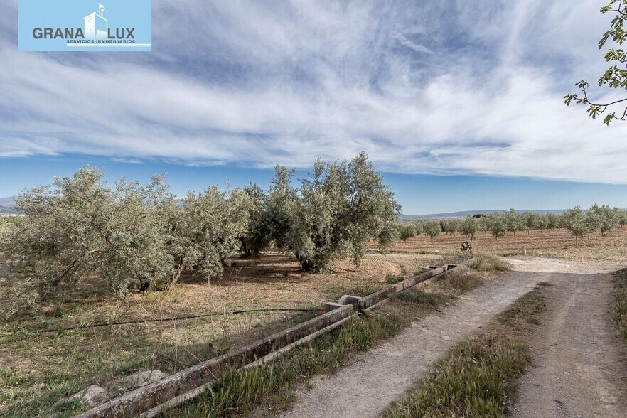 Pago de, Albolote, Granada à vendre - Photo du bâtiment - Image 3 de 14