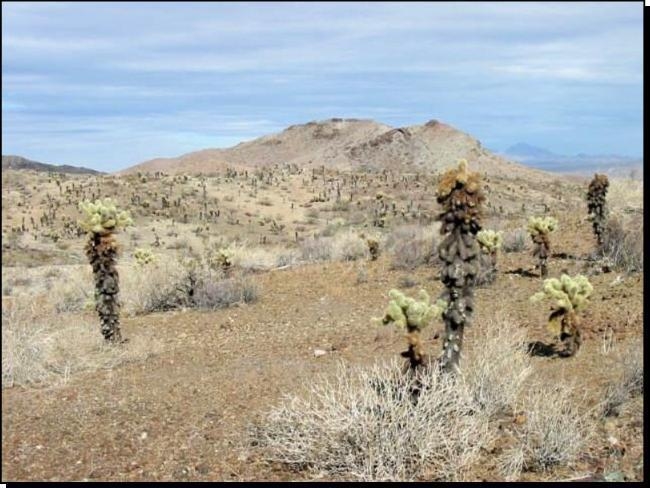 Fort Irwin Rd, Fort Irwin, CA for sale - Primary Photo - Image 1 of 1