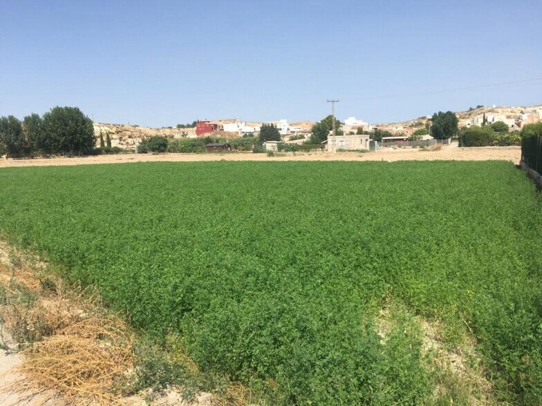 Terrain dans Molina de Segura, Murcia à vendre - Plan de site - Image 1 de 6