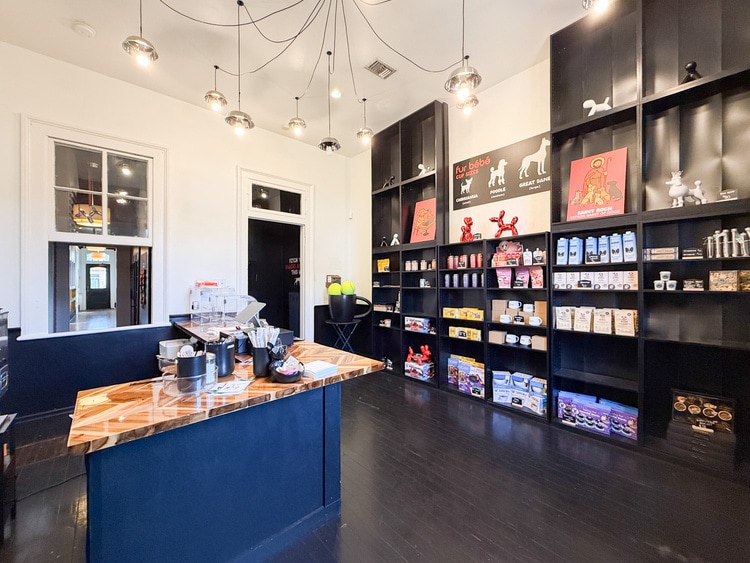 4826 Magazine St, New Orleans, LA for lease Interior Photo- Image 1 of 12