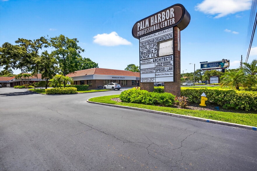 36310-36472 Us Hwy 19 N, Palm Harbor, FL for lease - Building Photo - Image 1 of 24