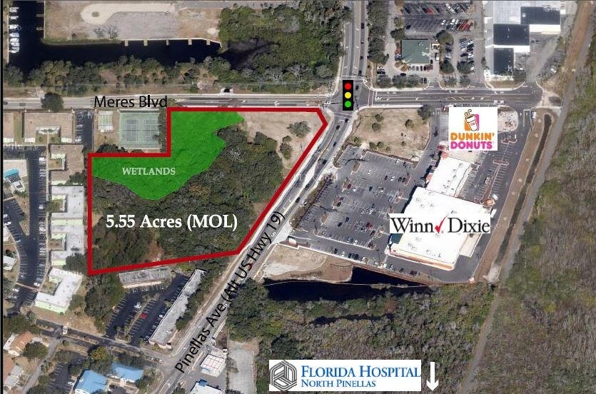 1150 S Pinellas Ave, Tarpon Springs, FL for sale Primary Photo- Image 1 of 14