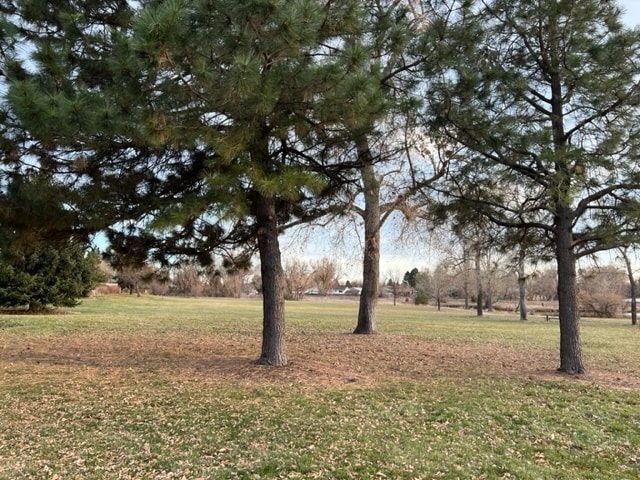 11184 Huron St, Northglenn, CO à louer - Photo du bâtiment - Image 3 de 4