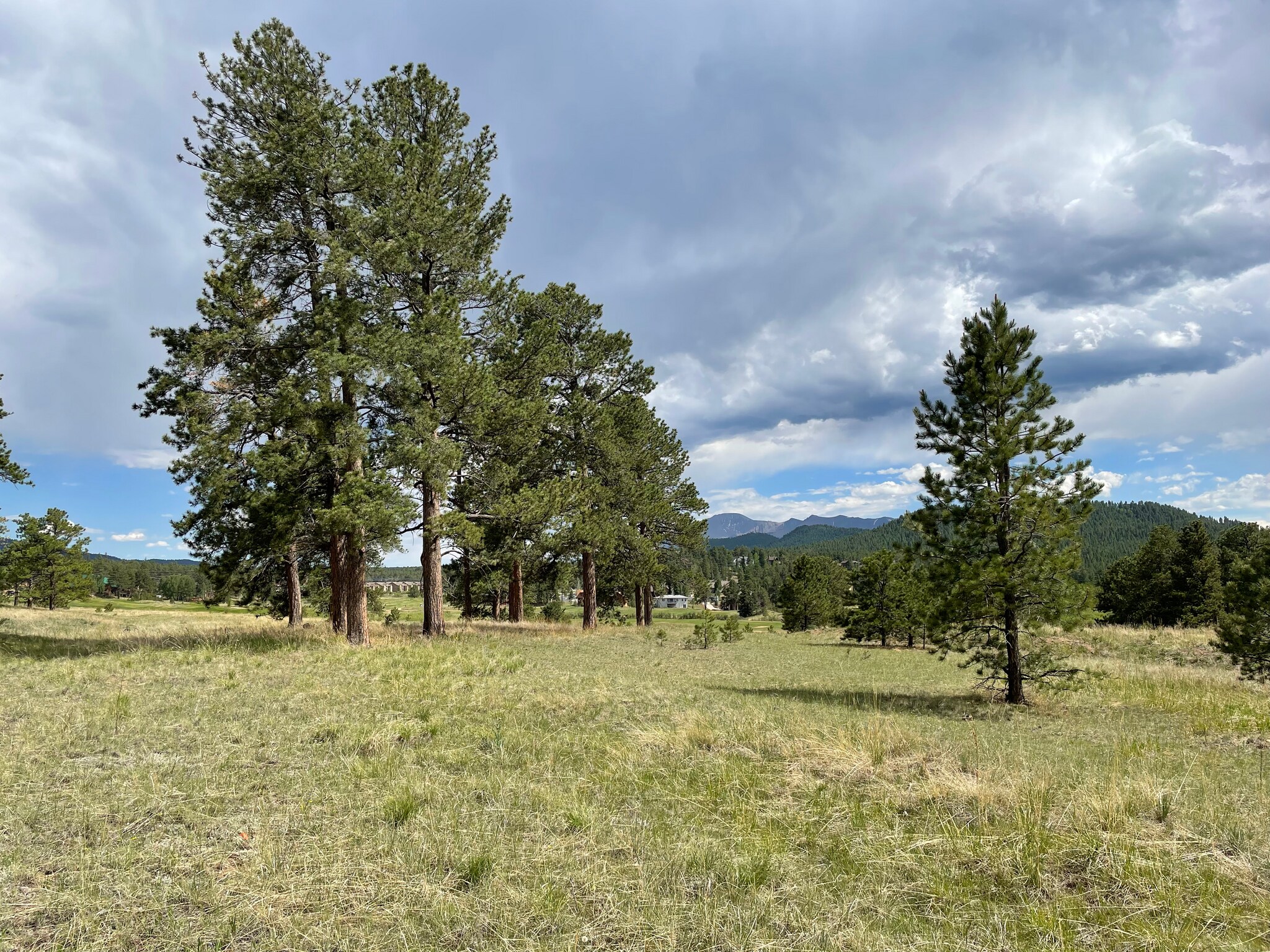 TBD Lucky Lady Dr, Woodland Park, CO for sale Building Photo- Image 1 of 3