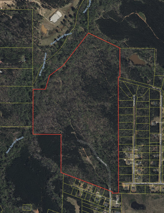 Plus de détails pour 0 Whitehouse Pkwy, Warm Springs, GA - Terrain à vendre