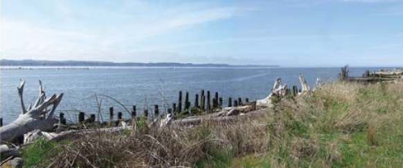 815 8th St, Hoquiam, WA for sale - Other - Image 3 of 8