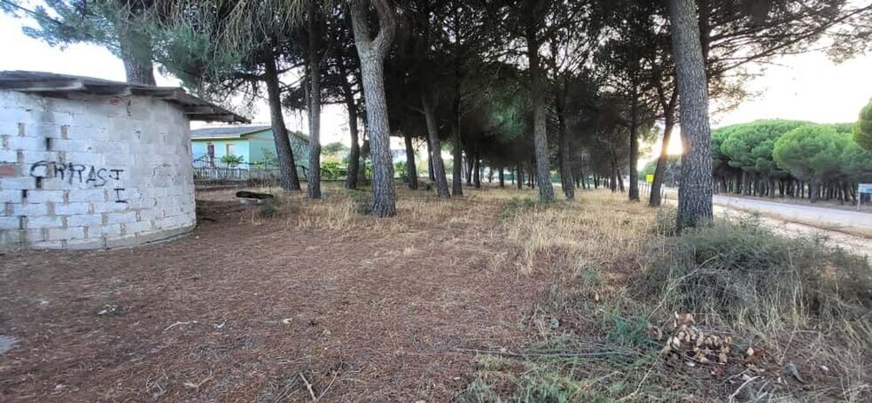 Terrain dans Tudela de Duero, Valladolid à vendre - Photo du bâtiment - Image 2 de 8