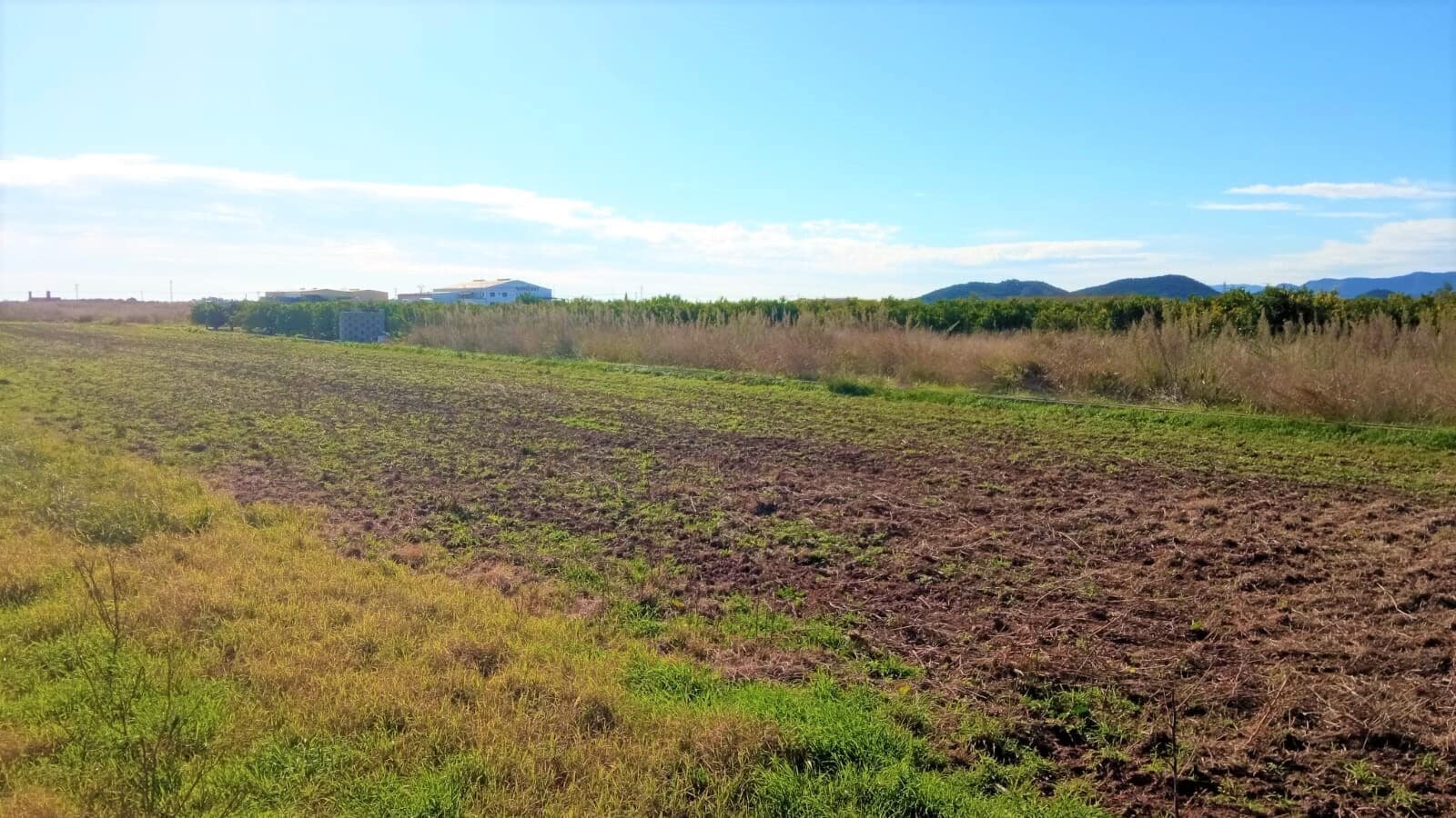 Parcela, 3, Chilches, Castellón for sale Building Photo- Image 1 of 12