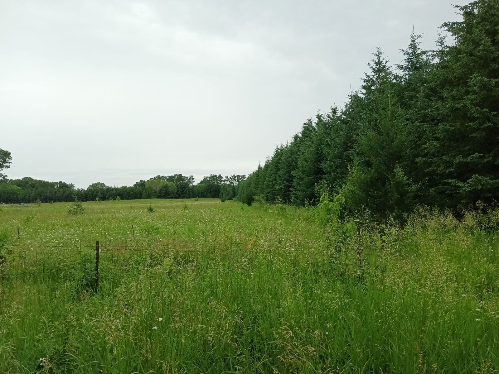 25494 Goodview Ave, Wyoming, MN for sale Other- Image 1 of 2