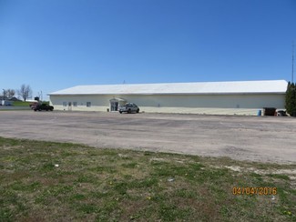 More details for 113 N Williams Industrial Dr, Pittsfield, IL - Retail for Sale