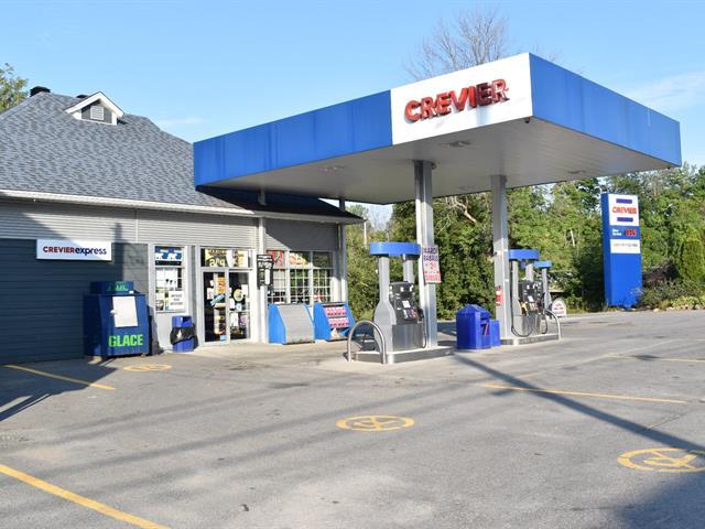 194 Rte Du Long-Sault, Saint-André-d'Argenteuil, QC à vendre Photo principale- Image 1 de 1