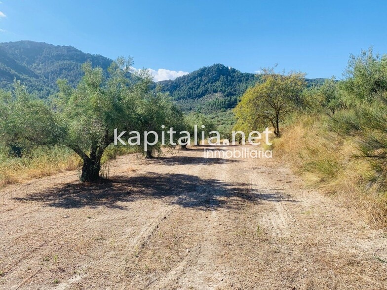 Land in Alfafara, Alicante for sale - Primary Photo - Image 3 of 12