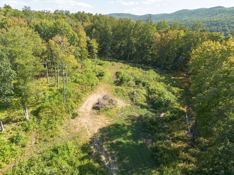 11 Roger Rd, Great Barrington, MA à vendre - Aérien - Image 3 de 12
