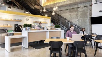 More details for 3350 Virginia St, Coconut Grove, FL - Coworking for Lease