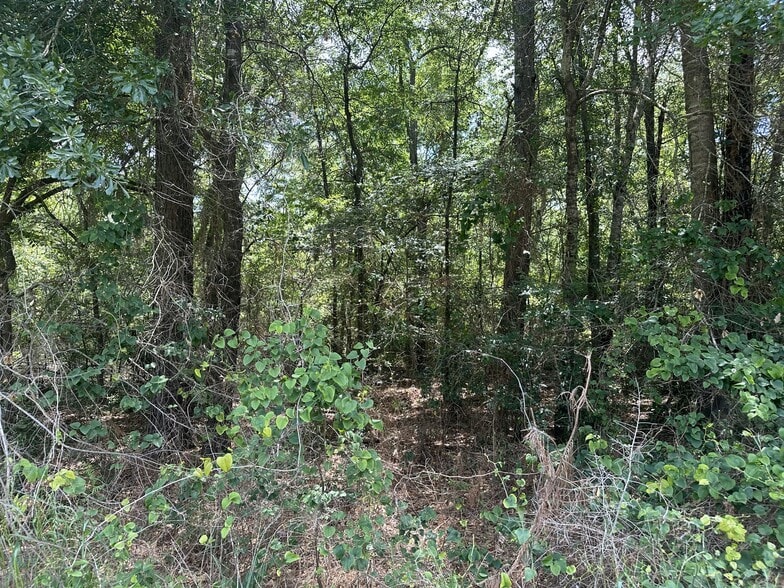 4102 Van Hwy, Tyler, TX for sale - Building Photo - Image 2 of 13