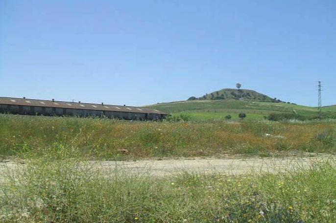 Carretera de Extremadura, 25B, Camas, Sevilla for sale - Floor Plan - Image 1 of 1