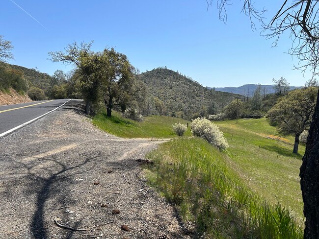 Plus de détails pour 9955 Hwy CA 49 9955 Highway CA 49, Coulterville, CA - Terrain à vendre