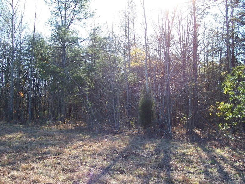 0 Windslow & Peachview Blvd Ave, Gaffney, SC à vendre - Photo du bâtiment - Image 2 de 3