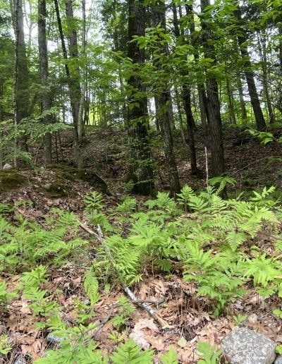 0 Cheney Hill Rd, Bradford, NH for sale - Building Photo - Image 3 of 8