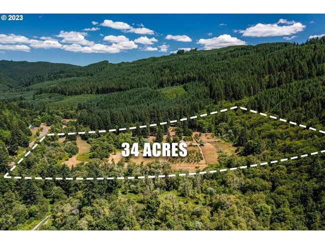 Plus de détails pour 18624 Highway 36, Blachly, OR - Terrain à vendre