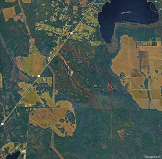 Plus de détails pour 1625 State Route 415, Osteen, FL - Terrain à vendre