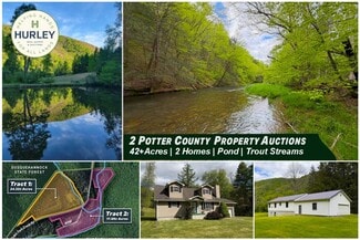 Plus de détails pour 1226-1227 Cross Fork Creek Rd, Cross Fork, PA - Terrain à vendre