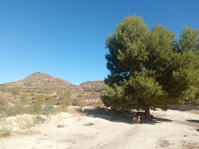 Terrain dans Lorca, Murcia à vendre - Photo du bâtiment - Image 3 de 41