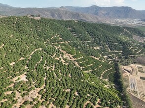 Avenida de Las Estrellas Ave, Pauma Valley, CA - Aérien Vue de la carte - Image1