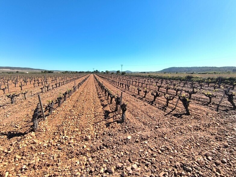Land in Yecla, Murcia for sale - Aerial - Image 3 of 3