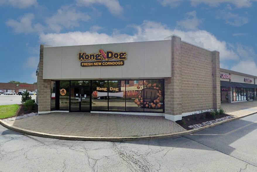 1292 S Rickert Dr, Naperville, IL à vendre - Photo principale - Image 1 de 24