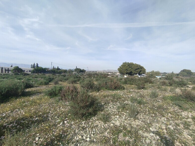 Boch, 1, Crevillent, Alicante à vendre - Aérien - Image 3 de 14