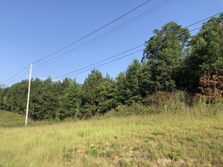 Highway 20, Cartersville, GA for sale - Primary Photo - Image 1 of 3