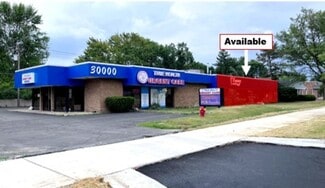 More details for 30000 Orchard Lake Rd, Farmington, MI - Office/Medical for Lease