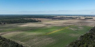 More details for SW 10th St, Dunnellon, FL - Land for Sale