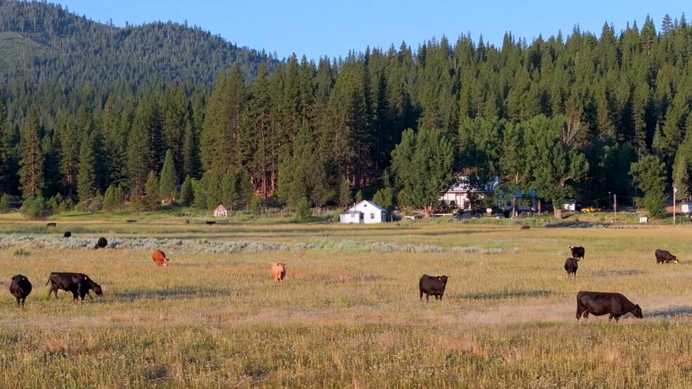 521 Campbell Hot Springs Rd, Sierraville, CA for sale - Commercial Listing Video - Image 2 of 63