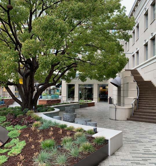 770 Tamalpais Dr, Corte Madera, CA à louer - Photo du bâtiment - Image 3 de 13