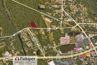 Plus de détails pour Jungle Rd, New Smyrna Beach, FL - Terrain à vendre