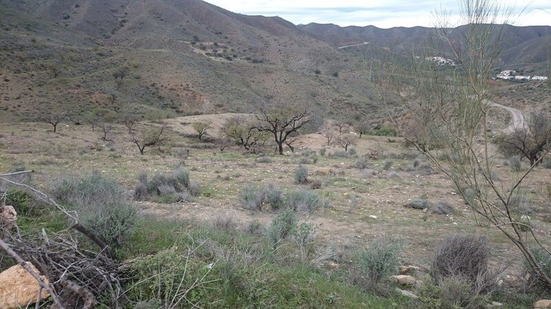 Arroyo Aceituno, Cantoria, Almería à vendre - Plan de site - Image 2 de 3