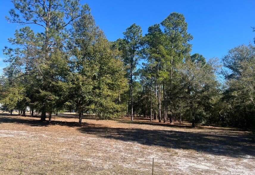 921 S Moody Rd, Palatka, FL for sale - Other - Image 2 of 2