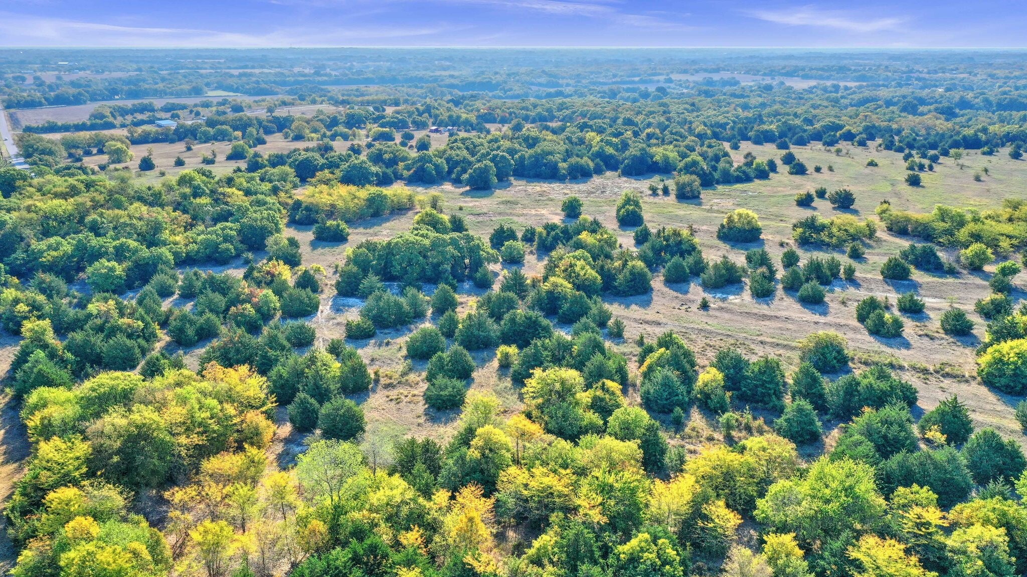 33.3 County Road 429, Anna, TX à vendre Photo du b timent- Image 1 de 31