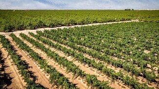 Plus de détails pour 18236 E Keyes Rd, Denair, CA - Terrain à vendre