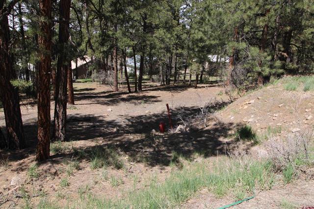 2116 County Road, Pagosa Springs, CO for sale - Building Photo - Image 2 of 3