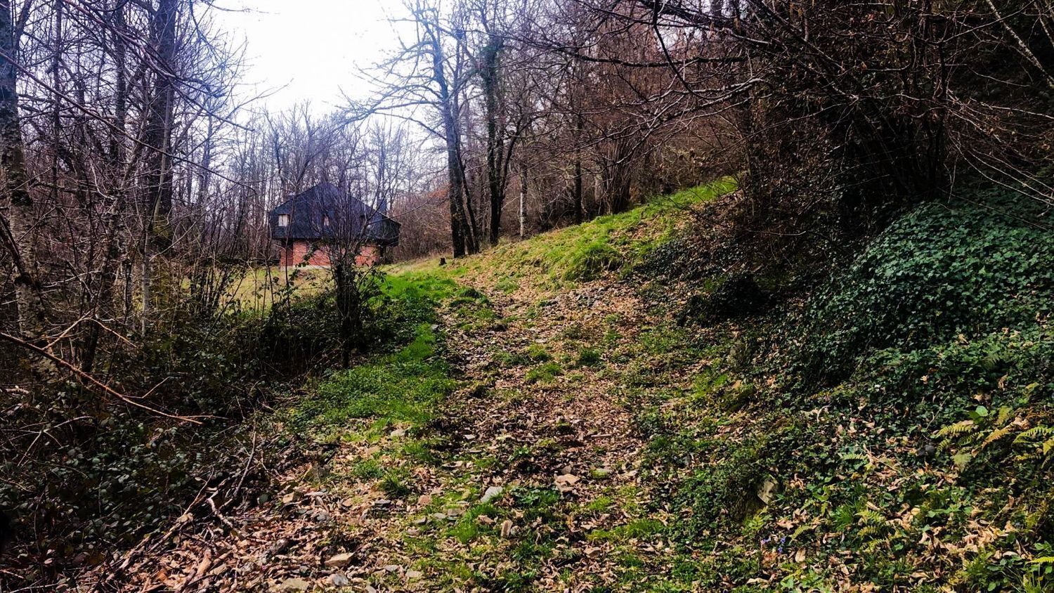 Cangas del Narcea, 61497, Cangas del Narcea, Asturias à vendre Photo principale- Image 1 de 24