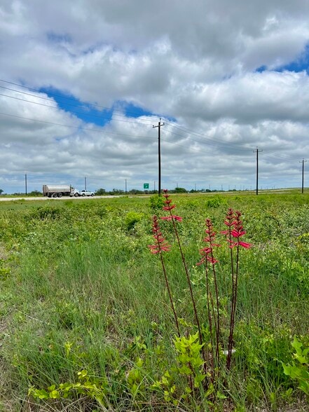 1352 Lee Rd, Aransas Pass, TX for sale - Building Photo - Image 2 of 15