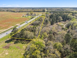 More details for 1248 SR 79, Bonifay, FL - Land for Sale