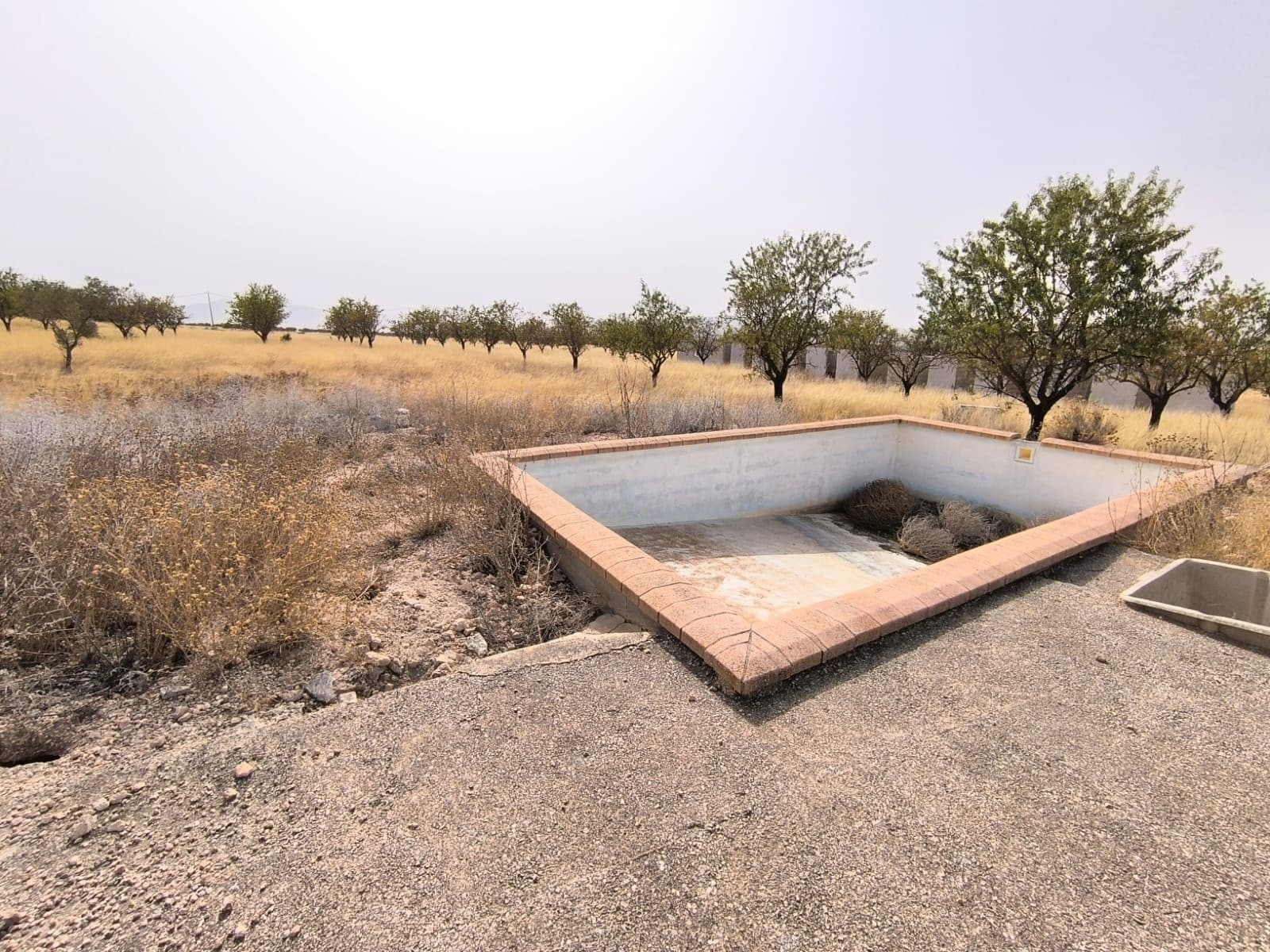 Land in Yecla, Murcia for sale Primary Photo- Image 1 of 13