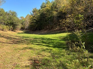 More details for 605 Lane Hollow Rd, Sevierville, TN - Land for Sale